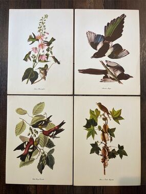 Audubon Birds Of America Prints (L4)